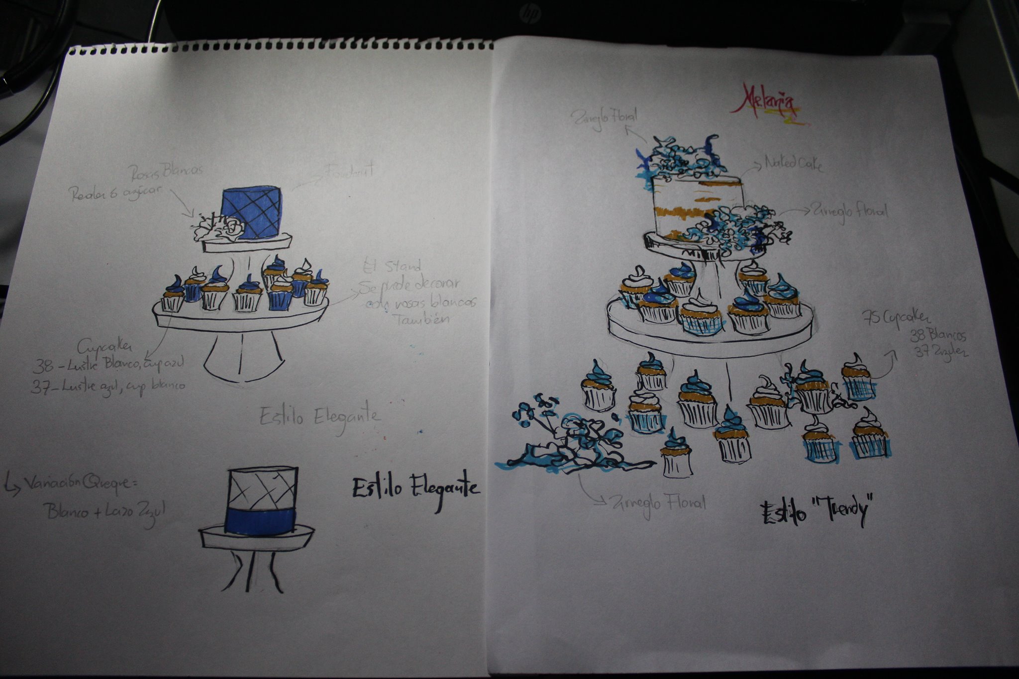 16466580_725670770931290_1367719476_o